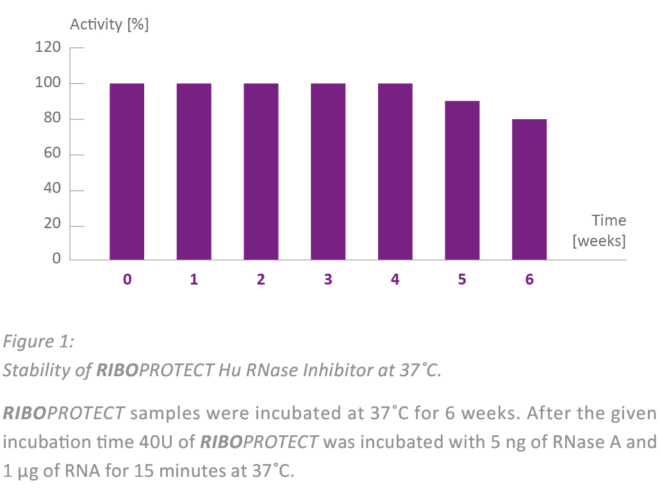 RNase Inhibitor stability