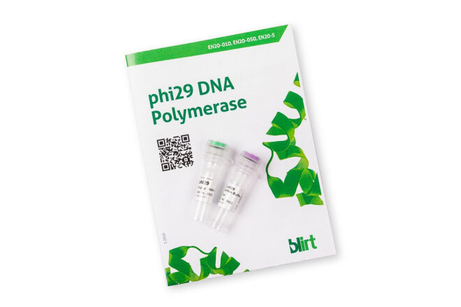 Phi29 DNA Polymerase EN20