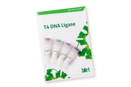 T4 DNA Ligase EN11