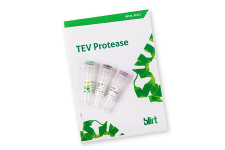 TEV Protease