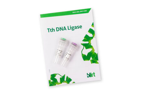 Tth DNA Ligase EN13